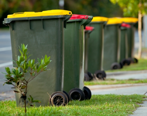 Waste Container Lids