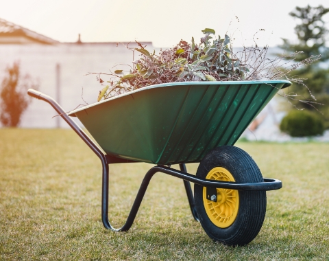 Wheelbarrow